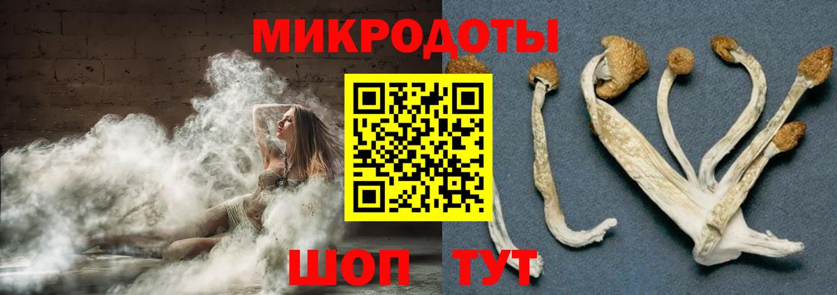 Псилоцибиновые грибы прущие грибы Снежинск