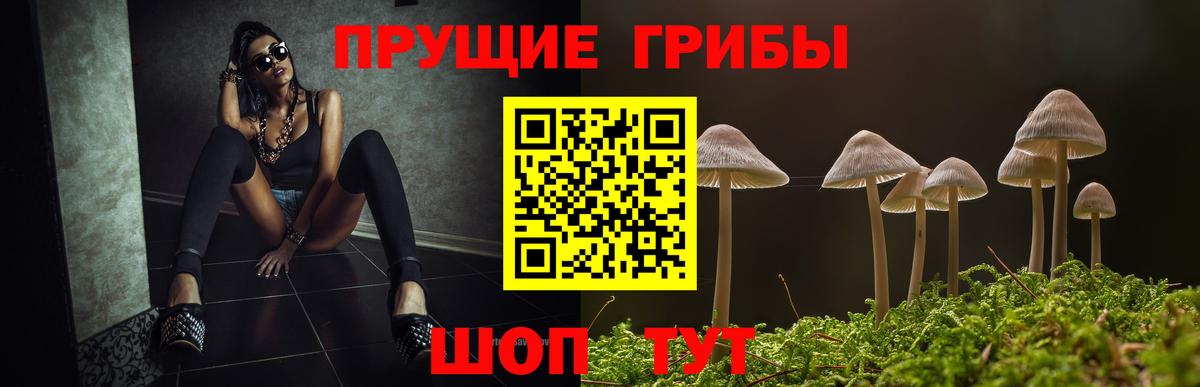 Псилоцибиновые грибы Cubensis  Вход с VPN  Снежинск 