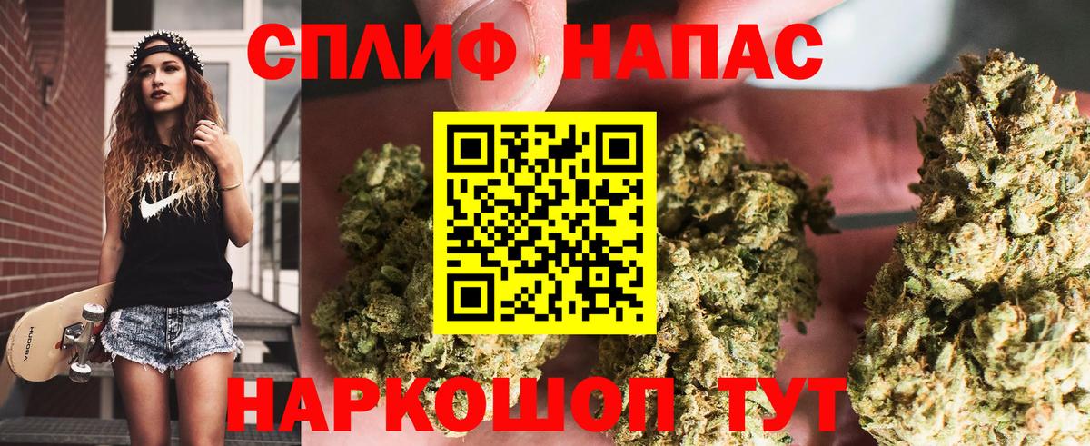 Каннабис план Снежинск